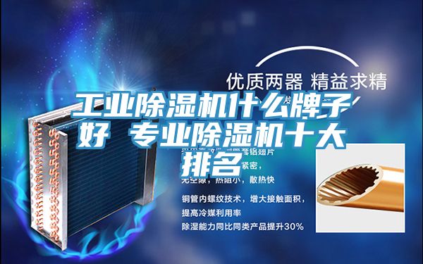 工業(yè)除濕機(jī)什么牌子好 專業(yè)除濕機(jī)十大排名