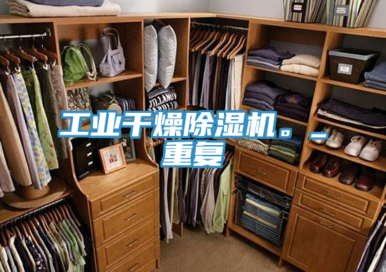 工業(yè)干燥除濕機(jī)。_重復(fù)
