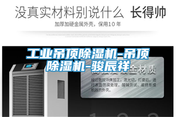 工業(yè)吊頂除濕機-吊頂除濕機-駿辰祥