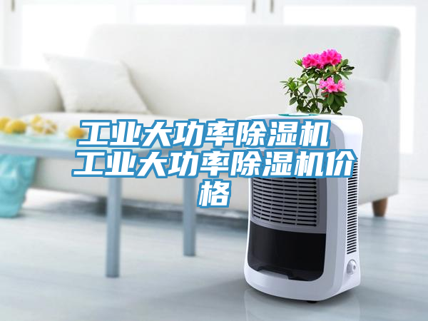 工業(yè)大功率除濕機(jī) 工業(yè)大功率除濕機(jī)價(jià)格