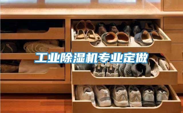 工業(yè)除濕機(jī)專業(yè)定做