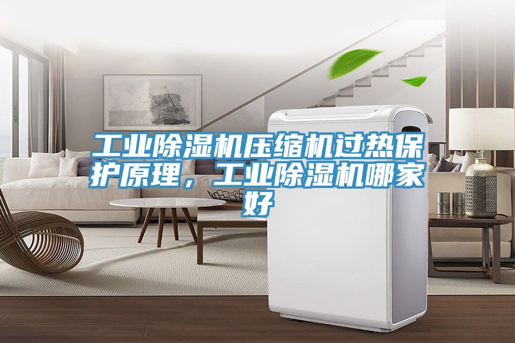 工業(yè)除濕機(jī)壓縮機(jī)過熱保護(hù)原理，工業(yè)除濕機(jī)哪家好