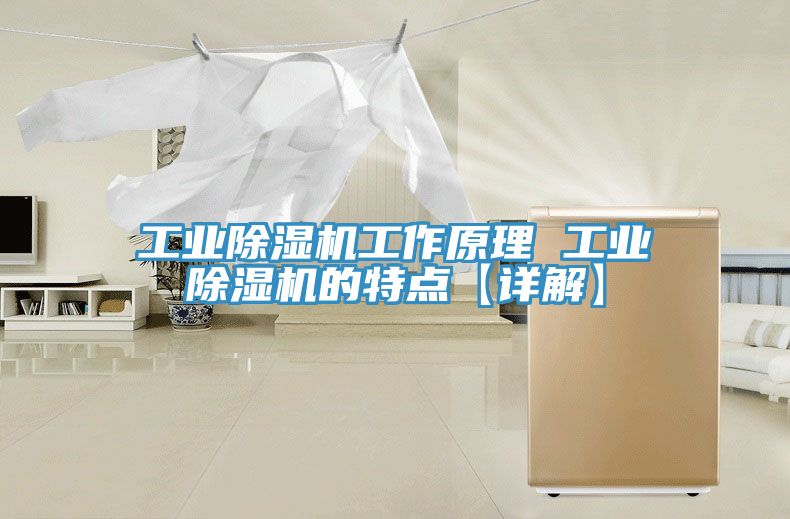 工業(yè)除濕機(jī)工作原理 工業(yè)除濕機(jī)的特點【詳解】