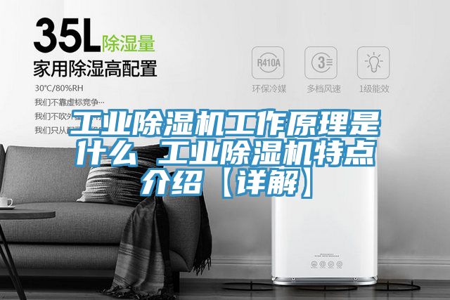 工業(yè)除濕機(jī)工作原理是什么 工業(yè)除濕機(jī)特點介紹【詳解】