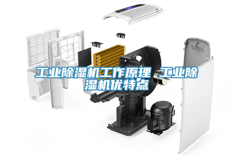 工業(yè)除濕機(jī)工作原理 工業(yè)除濕機(jī)優(yōu)特點
