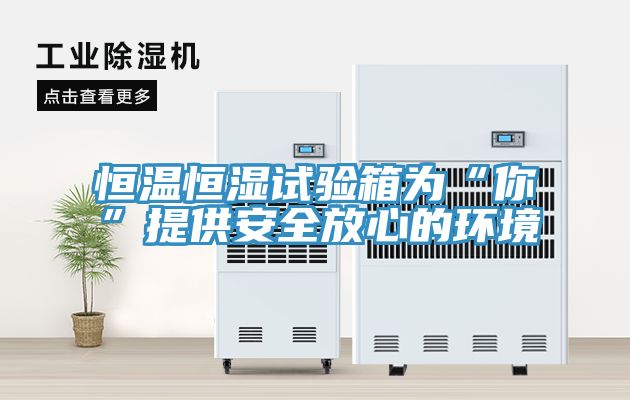 恒溫恒濕試驗箱為“你”提供安全放心的環(huán)境
