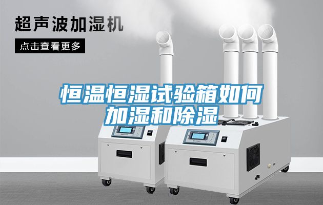 恒溫恒濕試驗箱如何加濕和除濕