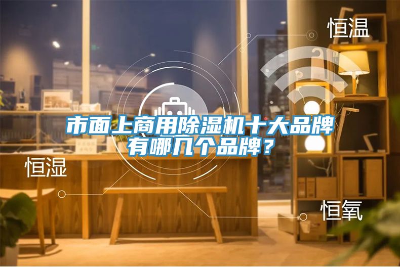 市面上商用除濕機(jī)十大品牌有哪幾個(gè)品牌？