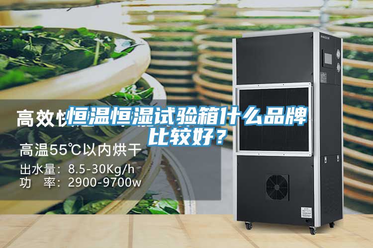 恒溫恒濕試驗箱什么品牌比較好？