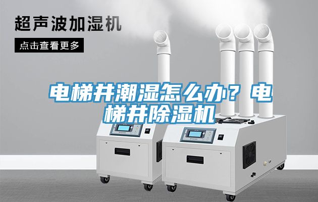 電梯井潮濕怎么辦？電梯井除濕機(jī)