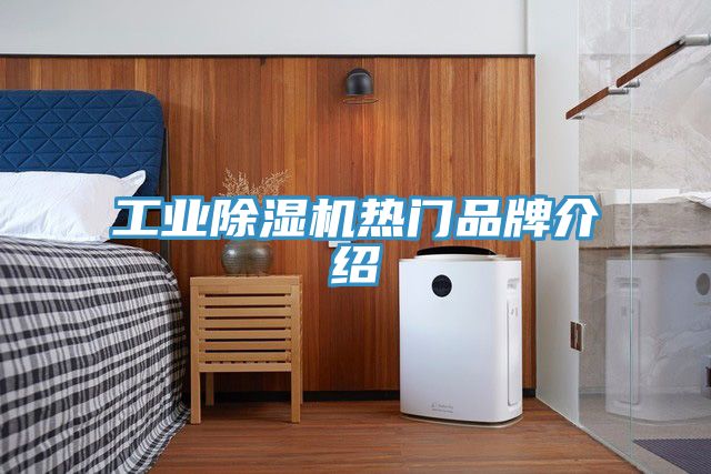 工業(yè)除濕機熱門品牌介紹