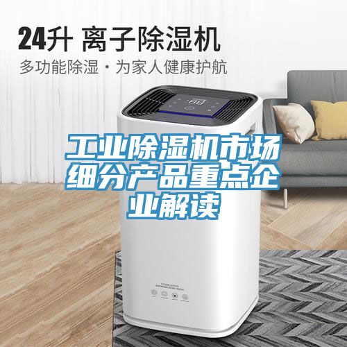 工業(yè)除濕機(jī)市場細(xì)分產(chǎn)品重點企業(yè)解讀