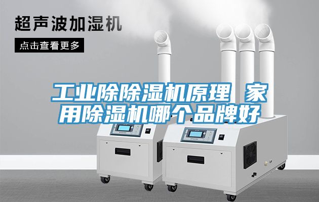 工業(yè)除除濕機(jī)原理 家用除濕機(jī)哪個(gè)品牌好