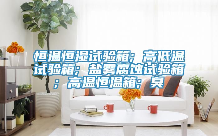恒溫恒濕試驗箱; 高低溫試驗箱; 鹽霧腐蝕試驗箱; 高溫恒溫箱; 臭