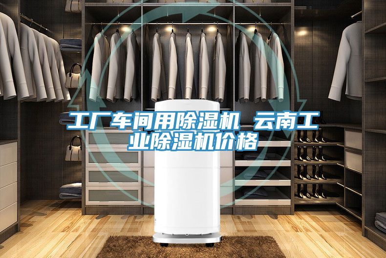 工廠車(chē)間用除濕機(jī) 云南工業(yè)除濕機(jī)價(jià)格