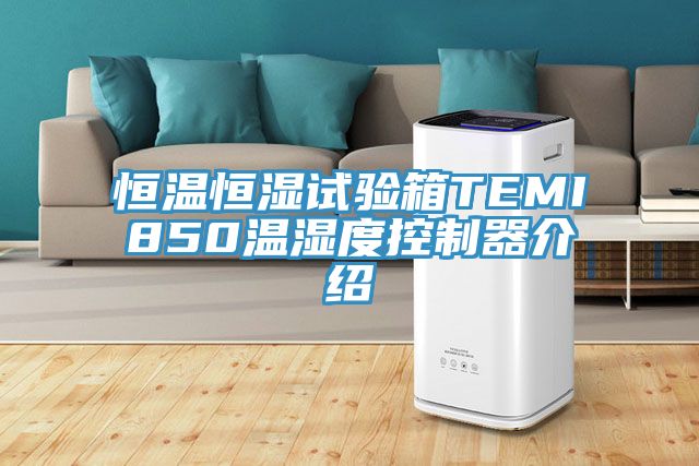恒溫恒濕試驗(yàn)箱TEMI850溫濕度控制器介紹