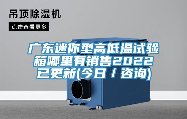 廣東迷你型高低溫試驗(yàn)箱哪里有銷(xiāo)售2022已更新(今日／咨詢(xún))