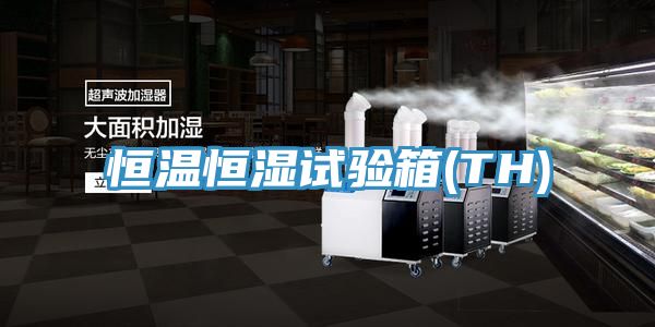 恒溫恒濕試驗箱(TH)