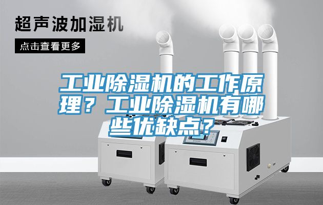 工業(yè)除濕機(jī)的工作原理？工業(yè)除濕機(jī)有哪些優(yōu)缺點(diǎn)？
