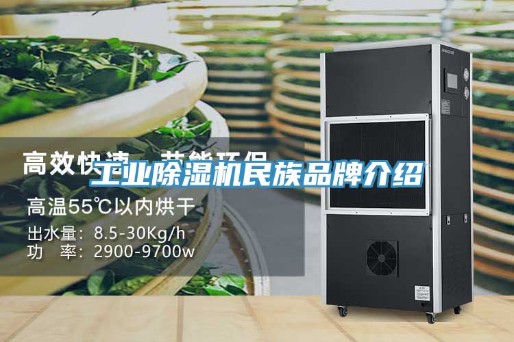 工業(yè)除濕機民族品牌介紹