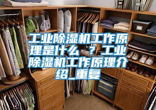 工業(yè)除濕機(jī)工作原理是什么 ？工業(yè)除濕機(jī)工作原理介紹_重復(fù)