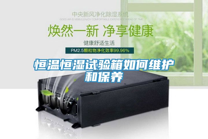 恒溫恒濕試驗箱如何維護(hù)和保養(yǎng)