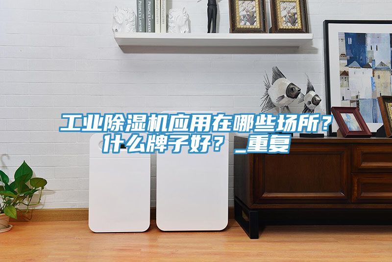 工業(yè)除濕機應(yīng)用在哪些場所？什么牌子好？_重復(fù)