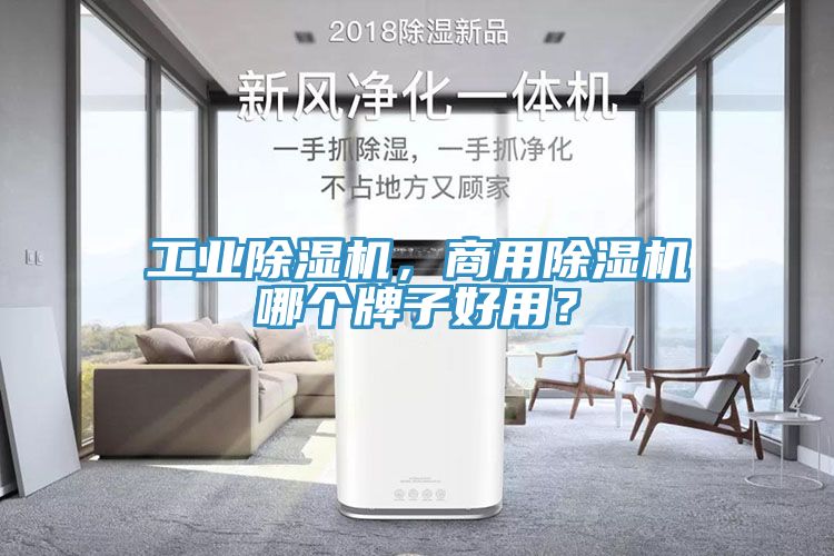 工業(yè)除濕機，商用除濕機哪個牌子好用？