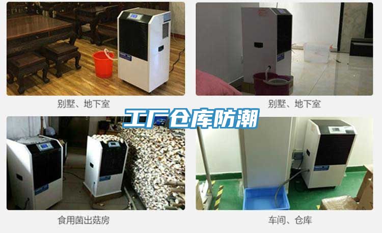 工廠倉(cāng)庫(kù)防潮