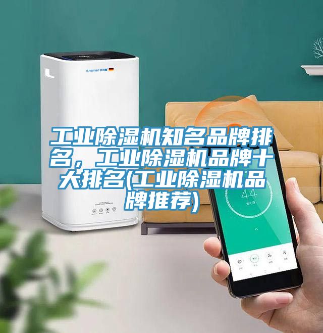 工業(yè)除濕機知名品牌排名，工業(yè)除濕機品牌十大排名(工業(yè)除濕機品牌推薦)