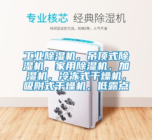 工業(yè)除濕機，吊頂式除濕機，家用除濕機，加濕機，冷凍式干燥機，吸附式干燥機，低露點