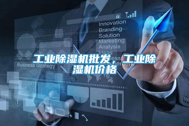 工業(yè)除濕機(jī)批發(fā)，工業(yè)除濕機(jī)價(jià)格