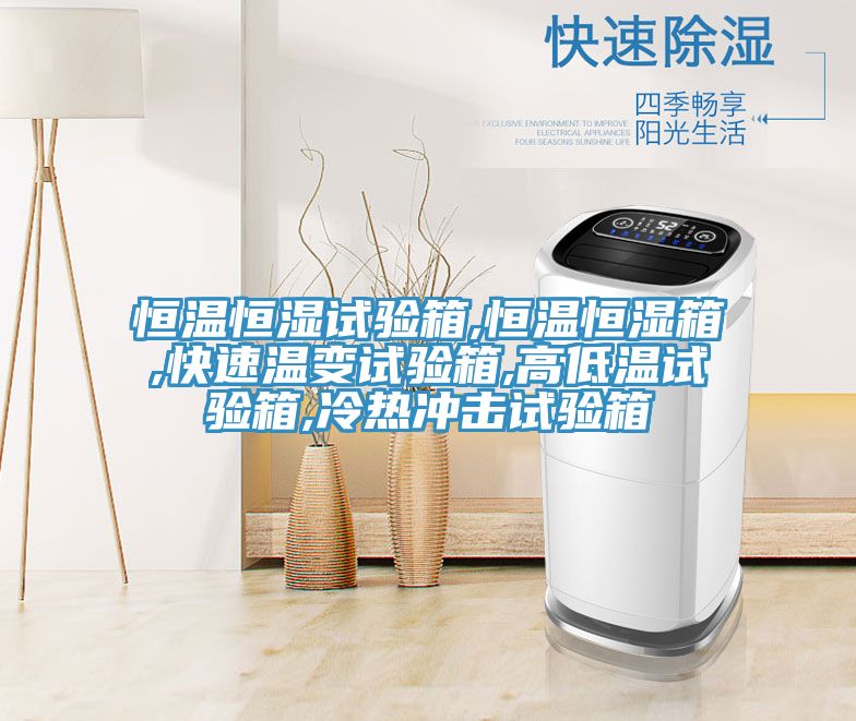 恒溫恒濕試驗(yàn)箱,恒溫恒濕箱,快速溫變?cè)囼?yàn)箱,高低溫試驗(yàn)箱,冷熱沖擊試驗(yàn)箱