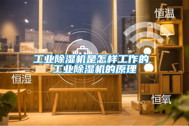 工業(yè)除濕機是怎樣工作的 工業(yè)除濕機的原理