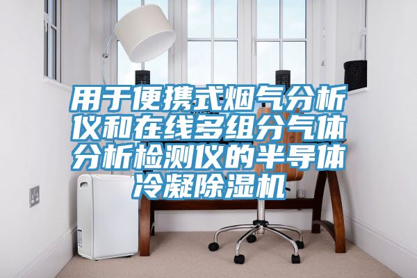 用于便攜式煙氣分析儀和在線多組分氣體分析檢測(cè)儀的半導(dǎo)體冷凝除濕機(jī)