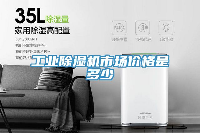 工業(yè)除濕機(jī)市場價格是多少
