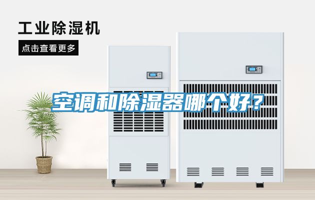 空調和除濕器哪個好？