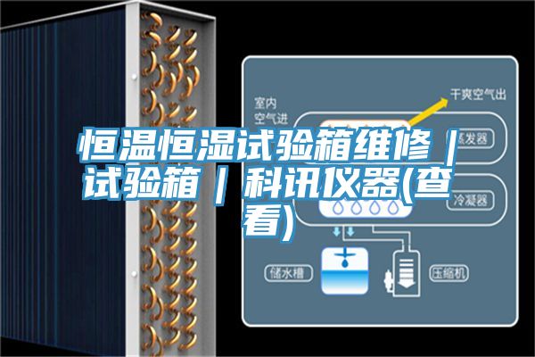 恒溫恒濕試驗(yàn)箱維修｜試驗(yàn)箱｜科訊儀器(查看)