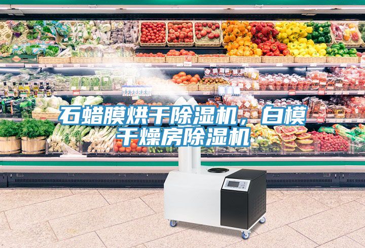 石蠟?zāi)ず娓沙凉駲C(jī)，白模干燥房除濕機(jī)