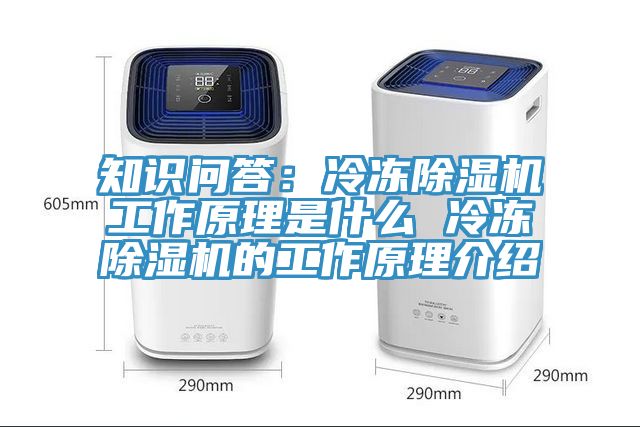 知識(shí)問(wèn)答：冷凍除濕機(jī)工作原理是什么 冷凍除濕機(jī)的工作原理介紹