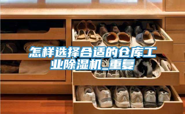 怎樣選擇合適的倉庫工業(yè)除濕機_重復(fù)