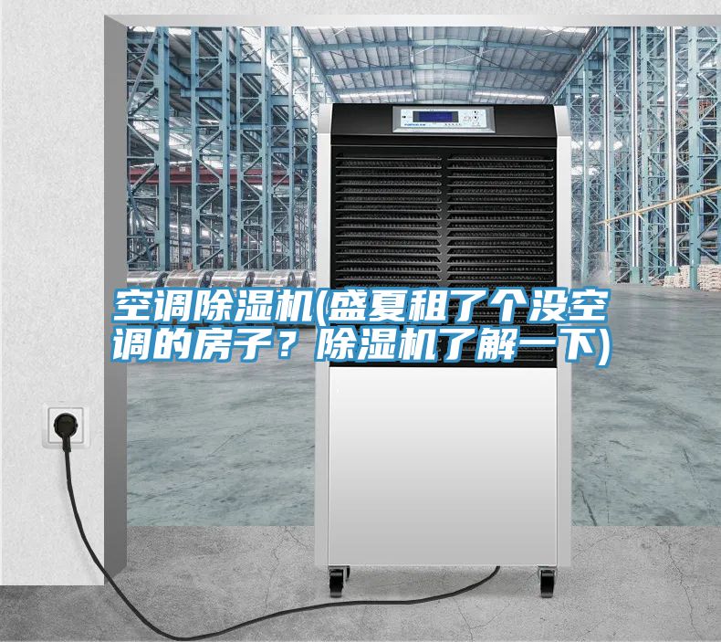 空調(diào)除濕機(jī)(盛夏租了個(gè)沒(méi)空調(diào)的房子？除濕機(jī)了解一下)