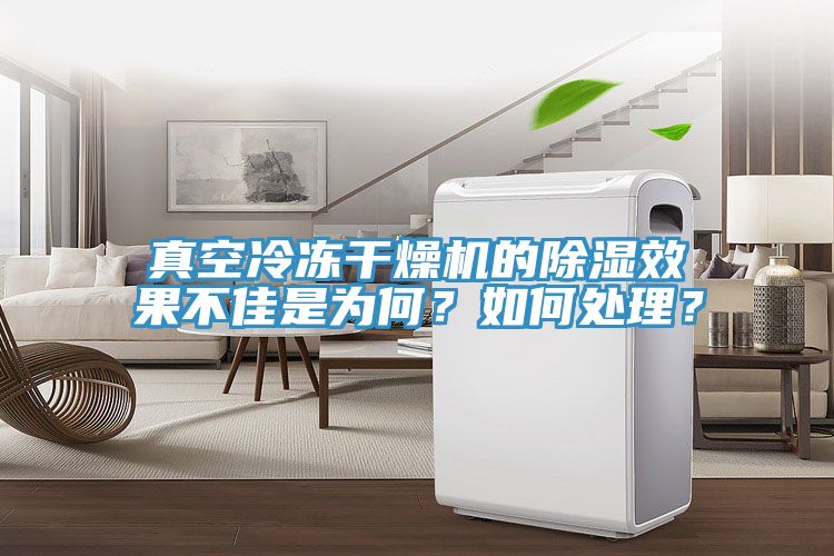 真空冷凍干燥機(jī)的除濕效果不佳是為何？如何處理？