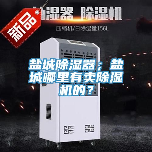 鹽城除濕器；鹽城哪里有賣除濕機(jī)的？