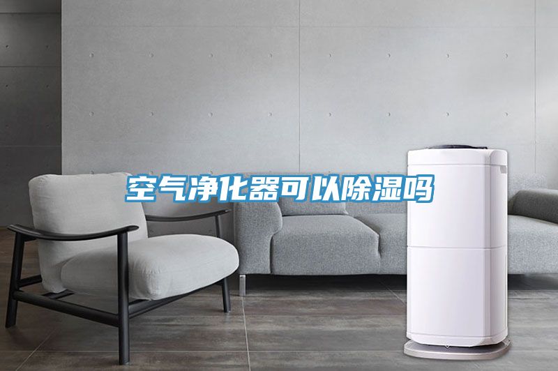 空氣凈化器可以除濕嗎