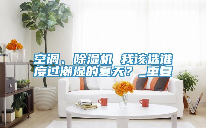 空調(diào)、除濕機(jī) 我該選誰度過潮濕的夏天？_重復(fù)