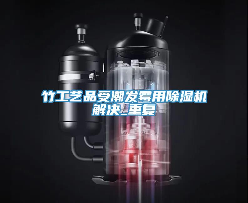 竹工藝品受潮發(fā)霉用除濕機(jī)解決_重復(fù)