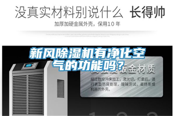 新風(fēng)除濕機(jī)有凈化空氣的功能嗎？