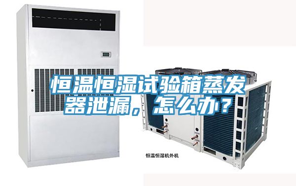 恒溫恒濕試驗箱蒸發(fā)器泄漏，怎么辦？