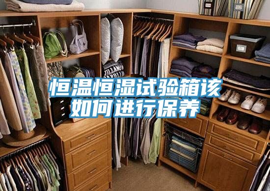 恒溫恒濕試驗箱該如何進行保養(yǎng)